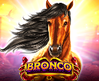 Bronco